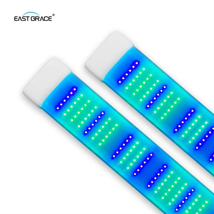 IP66 LED svjetiljka za uzgoj gmazova za uzgoj insekata crnih vojničkih muha