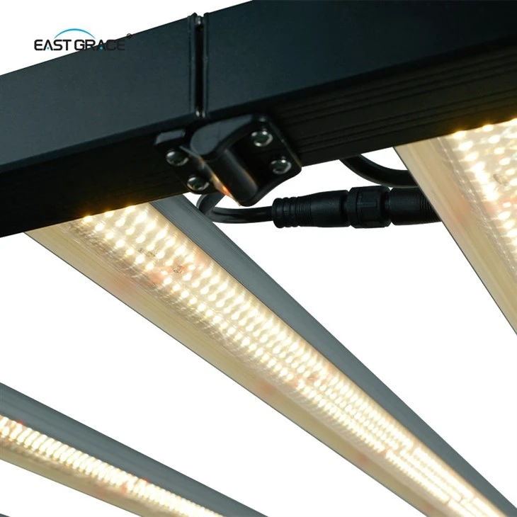 Most Powerful 720W LED Grow Light For Greenhouse