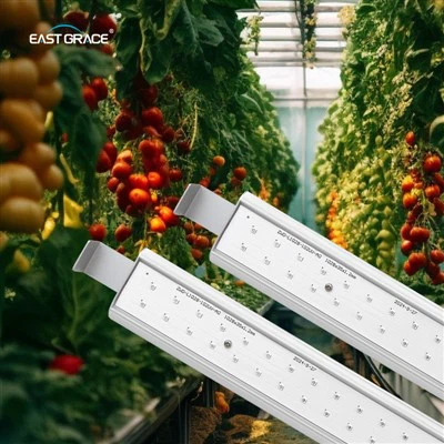 Dodajte - u LED modul za rast svjetlosne trake